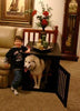 Dynamic Accents End Table Dog Crate (Poplar)