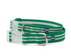 Mascot Striped Eco-Sport Dog Collar