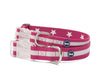 Mascot Striped Eco-Sport Dog Collar