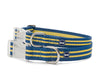 Mascot Striped Eco-Sport Dog Collar