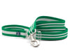 Mascot Striped Eco-Sport Dog Leash