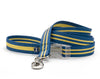 Mascot Striped Eco-Sport Dog Leash