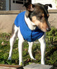 Gold Paw Cozy Dog Coat