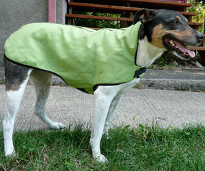 Gold Paw Organic Cotton Dog Rain Jacket
