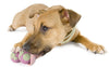 Planet Dog Big Pup Orbo Dog Toy
