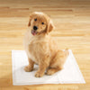 Clean Go Pet Puppy Pads 30 Pack