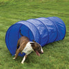 Guardian Gear Dog Agility Kit