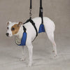 Guardian Gear 4 In 1 Lift N Lead Dog Harness System