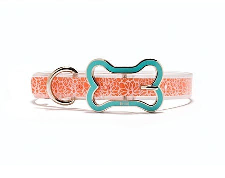 Mascot Essential Beach Orange Dog Collar