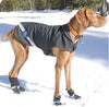 Gold Paw Regular Platinum Dog Coat