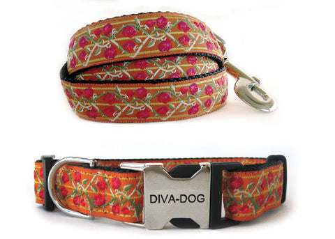 Diva Dog Bombay Collar