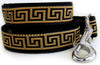 Diva Dog Caesar 2 Dog Collar