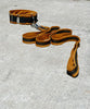 Gold Paw Martingale Style Cloud Collar