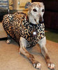 Gold Paw Animal Prints Cozy Dog Coat