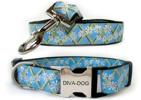 Diva Dog Daisy Dog Collar