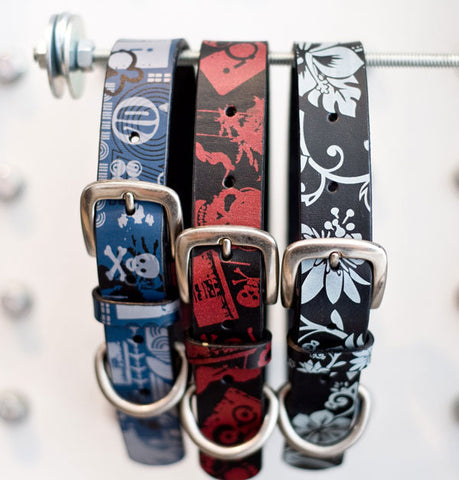 redhound I-Spy & Hawaii 5-0 Dog Collars