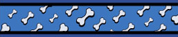 Red Dingo Blue Flying Bones Bucklebone Dog Collar