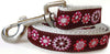 Diva Dog Garden Party Dog Collar