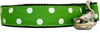 Owen & Olivia Lime Green & White Dots Dog Collar