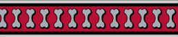 Red Dingo Lots-A-Bones Bucklebone Dog Collar