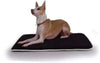 Jaxx Landing Pad Dog Beds