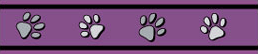 Red Dingo Purple Pawprints Bucklebone Dog Collar