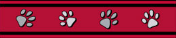 Red Dingo Red Pawprints Bucklebone Dog Collar