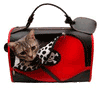 Pet Flys Happy Pirate Skull Carrier