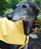 Gold Paw Regular Platinum Dog Coat