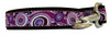 Owen & Olivia Plum, Pink & Burgundy Dog Collar