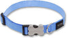 Red Dingo Snake Eyes Orange Bucklebone Dog Collar