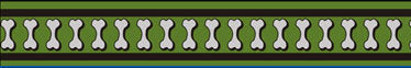 Red Dingo Reflective Bones Green Dog Collar
