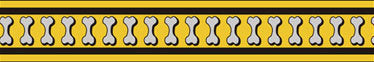 Red Dingo Reflective Bones Yellow Dog Collar