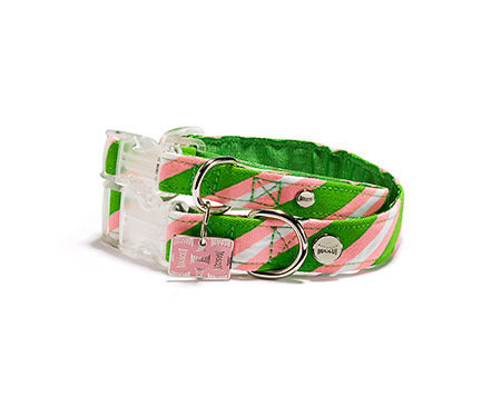 Mascot Old School Repp Green & Pink Dog Collar