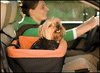 Kurgo Skybox Booster Seat For Dogs