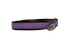 Owen & Olivia Pink Dots with Purple Dog Collar