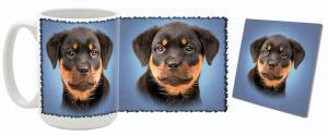 MugWorld Rottweiler Puppy Mug and Coaster Combo Style Two