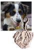 BabyFaces Photo Engraved Dog Charms