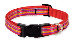 Lupine Closet Sunset Stripe Small Dog Collar (1/2 Inch)