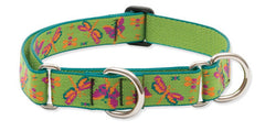 Lupine Closet Meadow Large Martingale Dog Collar (1 Inch)