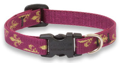 Lupine Royal Gold Small Dog Collar (1/2 Inch)