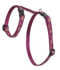 Lupine Royal Gold Small H-Style Harness for Dogs & Cats (1/2 Inch)
