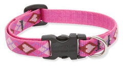 Lupine Puppy Love Small Dog Collar (1/2 Inch)