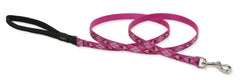 Lupine Puppy Love Small Dog Leash (1/2 Inch)