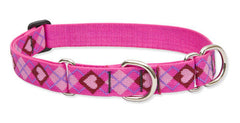 Lupine Puppy Love Large Martingale Dog Collar (1 Inch)