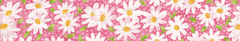 Elmo's Closet Daisies On Pink Dog Collar