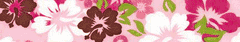 Elmo's Closet Island Sanctuary Pink Dog Collar