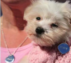 mhound Sterling Silver Bead Necklace