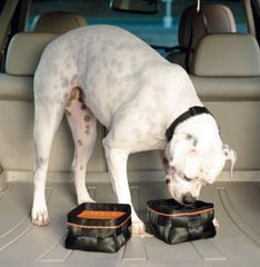 Kurgo Wander Bowl Dog Travel Bowl