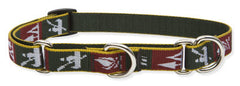 Lupine Trail Mix Medium Martingale Dog Collar (3/4 Inch)